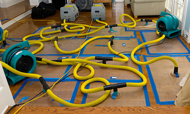 Professional Basement Flood Cleanup technician working in Luling, LA